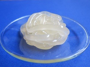 gel forms